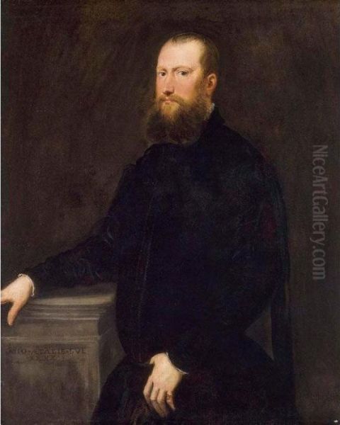 Portrait Of A Bearded Venetian Nobleman Oil Painting by Jacopo Robusti, II Tintoretto