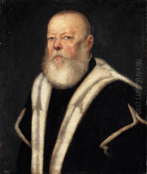 Portrait Of A Bearded Gentleman, Head And Shoulders, Wearing An Ermine-lined Black Coat Oil Painting by Jacopo Robusti, II Tintoretto