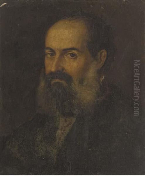 Portrait Of A Bearded Man, Bust-length Oil Painting by Jacopo Robusti, II Tintoretto