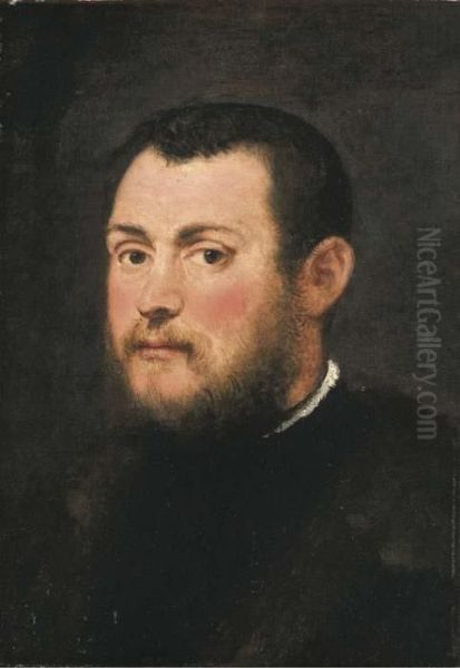 Portrait Of A Gentleman Oil Painting by Jacopo Robusti, II Tintoretto