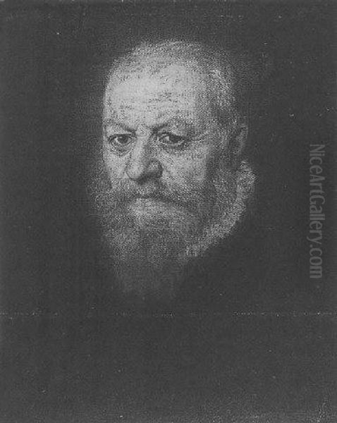 Portrait Of A Man Oil Painting by Jacopo Robusti, II Tintoretto