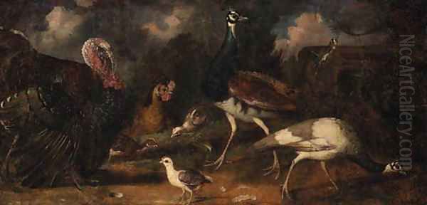 Peacocks with a Turkey, Chicken and Poults with a Goldfinch in a Landscape Oil Painting by Tobias Stranover