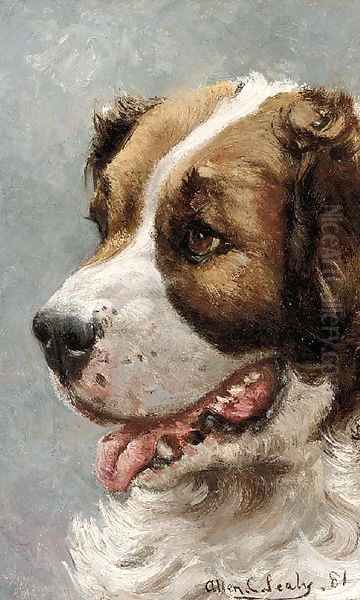 The head of a St. Bernard Oil Painting by Allen Culpepper Sealy