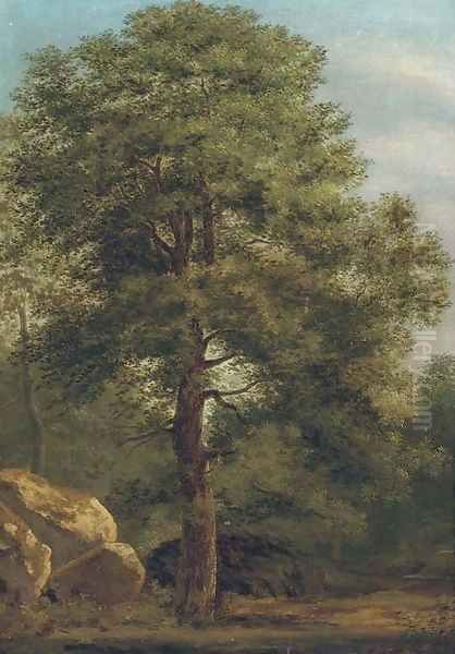 Forest scene Oil Painting by Ivan Shishkin