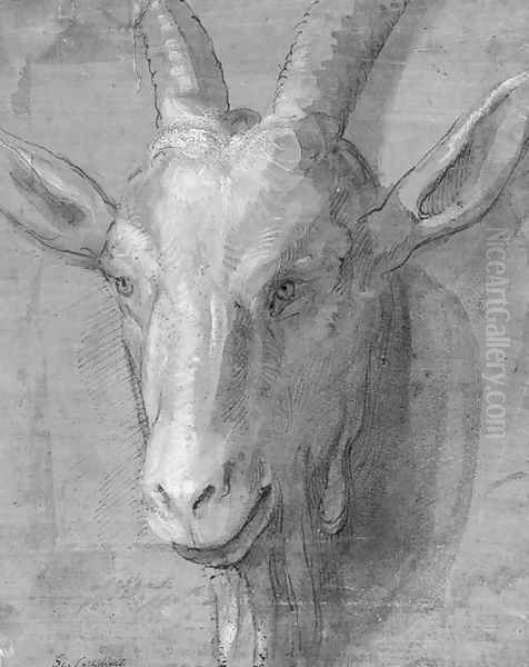 The head of a goat Oil Painting by Genoese School