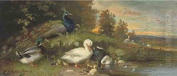 Ducks and a peacock on the banks of a river at dusk Oil Painting by Julius Scheuerer