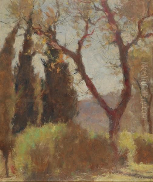 L'albero Biforcuto Oil Painting by Ludovico Tommasi