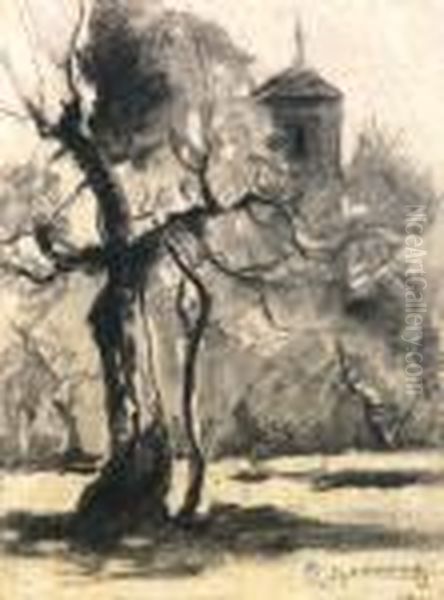 Albero Contorre Oil Painting by Ludovico Tommasi