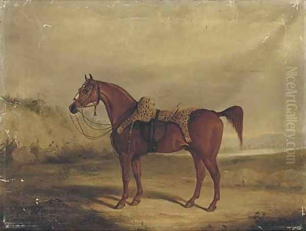 A chestnut horse saddled Oil Painting by Samuel Spode