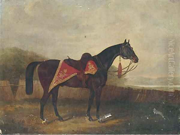 A horse with ornate sadle cloth Oil Painting by Samuel Spode