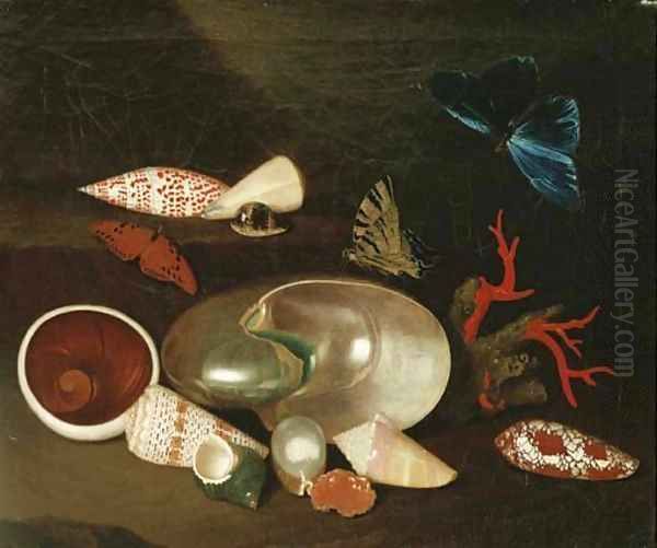 A still life of shells and butterflies a Nautilus Oil Painting by Philipp Sauerland