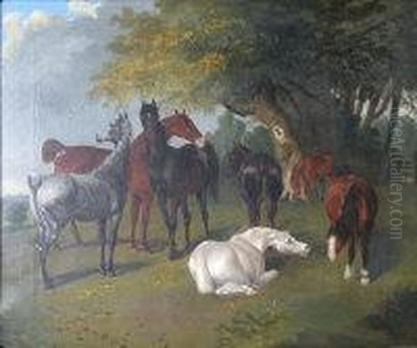 Horses In A Meadow Oil Painting by Charles Towne