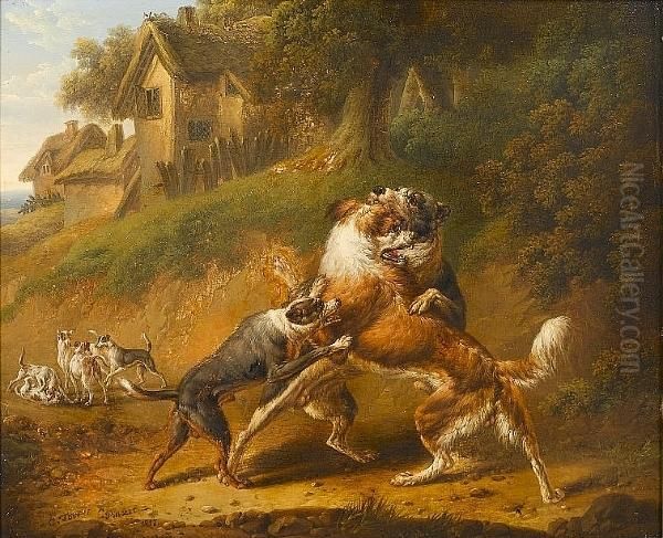 Dogs Fighting Oil Painting by Charles Towne