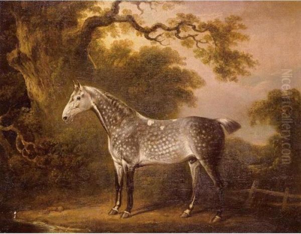 A Dappled Grey Hunter Oil Painting by Charles Towne