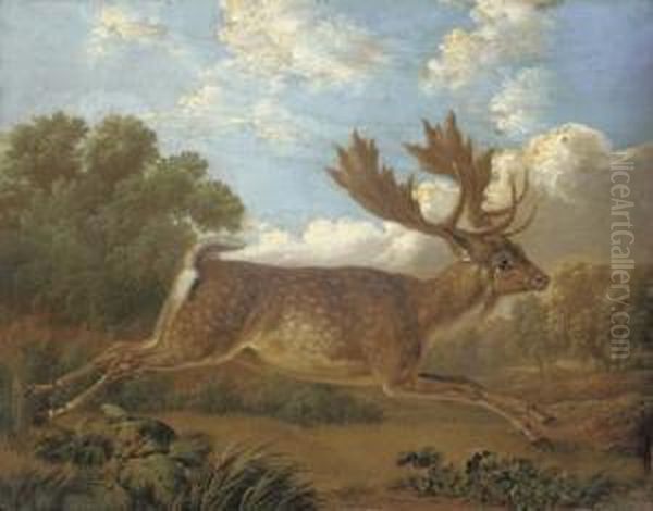 A Fallow Deer Leaping Across A Field In A Landscape Oil Painting by Charles Towne