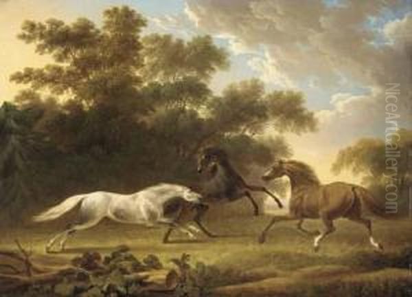 Stallions In A Wooded Paddock Oil Painting by Charles Towne