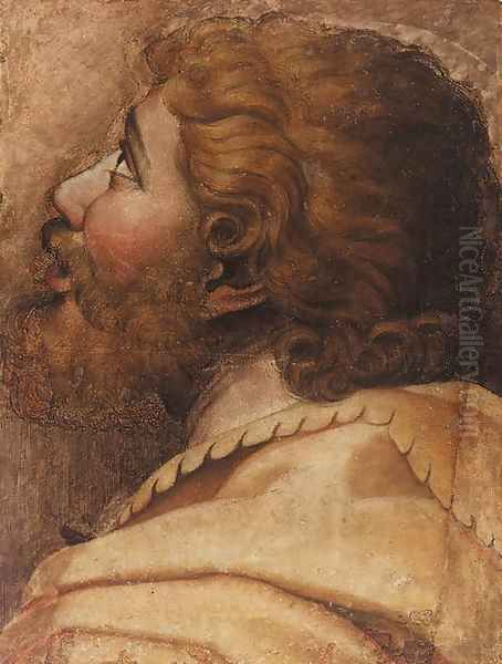 Head of a man looking up to the left a cartoon for a tapestry Oil Painting by Raffaelo Sanzio