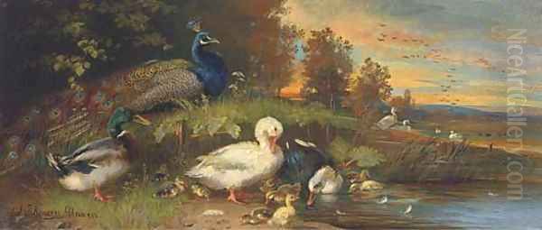 Ducks and a peackock at a lakeside Oil Painting by Julius Scheurer