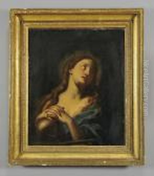 Maddalena Oil Painting by Francesco Trevisani