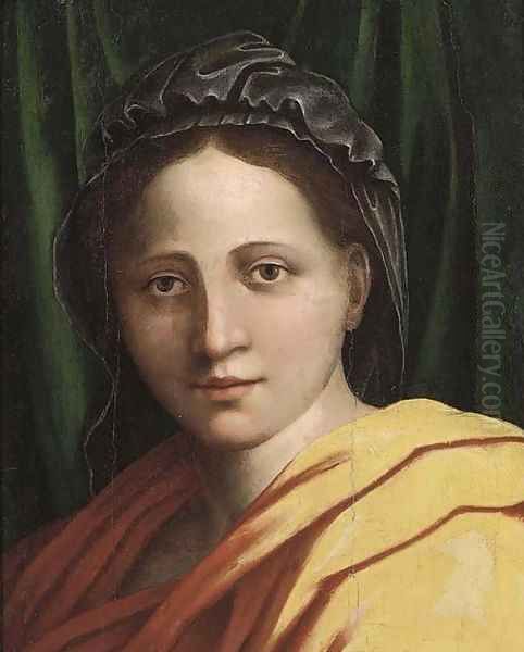 The Madonna Oil Painting by Andrea Del Sarto