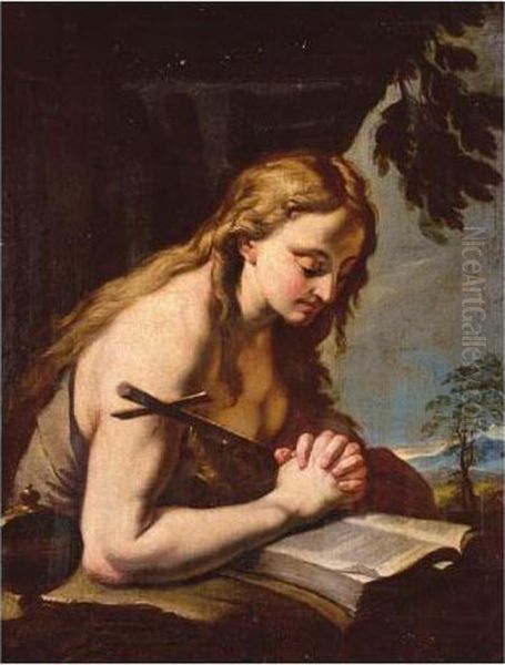 The Penitent Magdalene Oil Painting by Francesco Trevisani