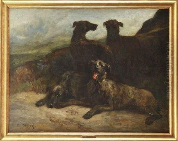 Chiens Au Repos Oil Painting by Constant Troyon