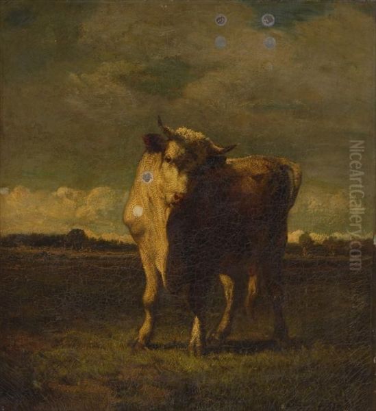 The White Bull Oil Painting by Constant Troyon