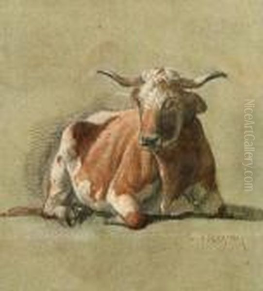 Study Of A Recumbent Bull Oil Painting by Constant Troyon