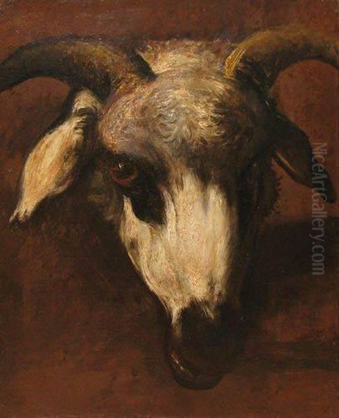 Ram Head Study Oil Painting by Constant Troyon