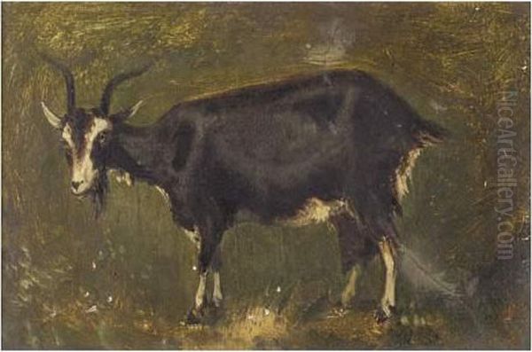 Une Chevre Oil Painting by Constant Troyon