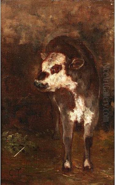 Le Petit Veau Oil Painting by Constant Troyon