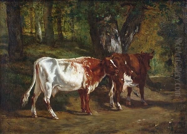 Cattle In A Forest Clearing Oil Painting by Constant Troyon