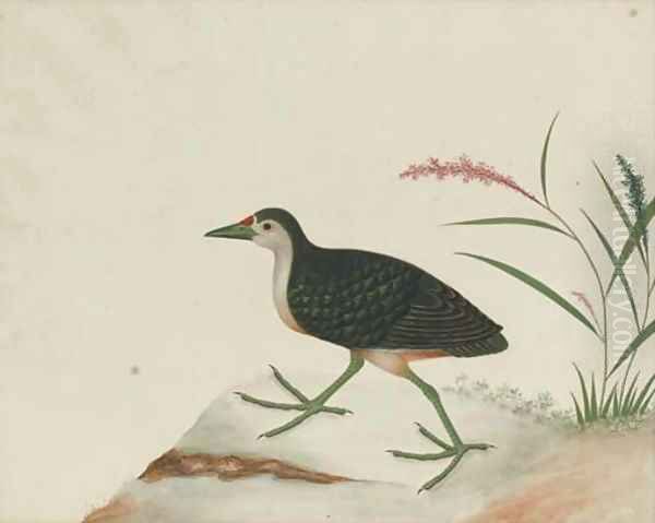 An exotic bird perched on a stump Oil Painting by Anglo-Chinese School