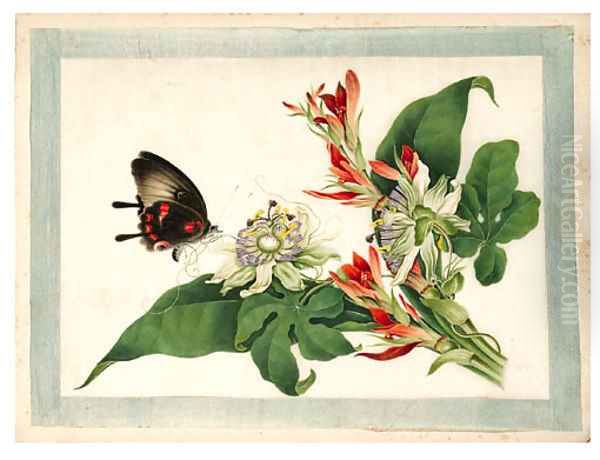 Flower and butterfly Oil Painting by Anglo-Chinese School