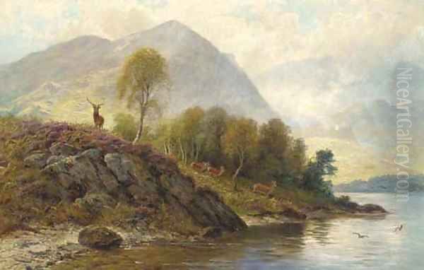 A stag with hinds by a loch Oil Painting by Charles Stuart