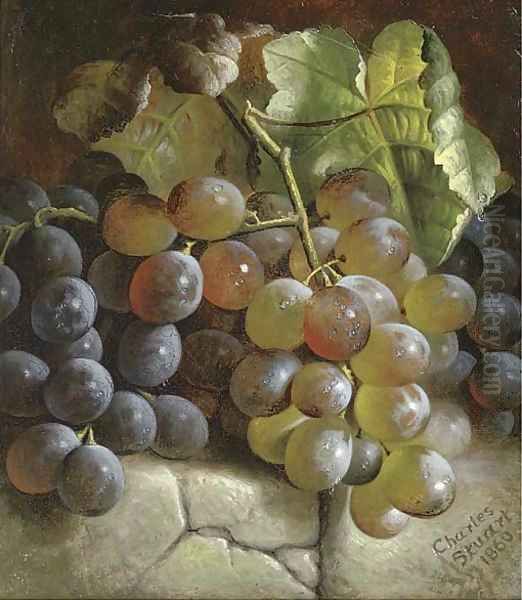 Grapes on a stone step Oil Painting by Charles Stuart