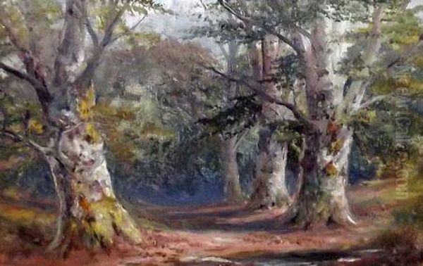 A Woodland Oil Painting by George Turner