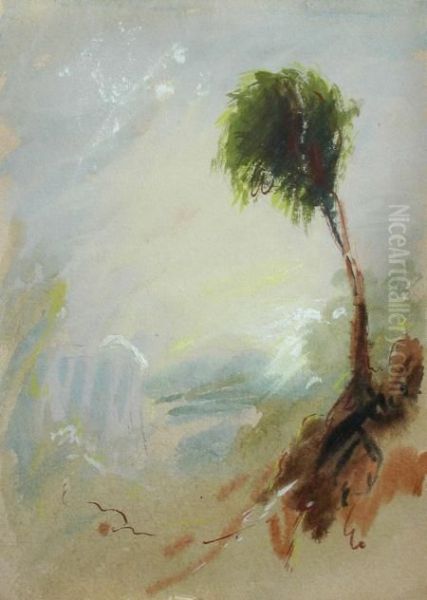 Study Of A Tree Oil Painting by Joseph Mallord William Turner