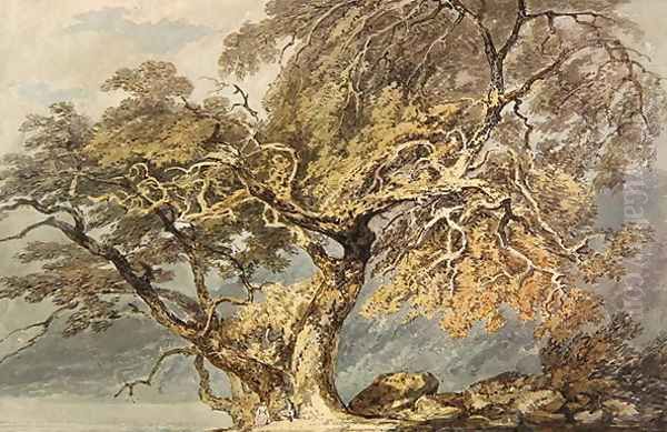 A Great Tree, c.1796 Oil Painting by Joseph Mallord William Turner