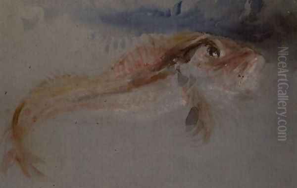 A Gurnard Oil Painting by Joseph Mallord William Turner