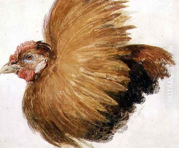 Game-Cock, from The Farnley Book of Birds, c.1816 Oil Painting by Joseph Mallord William Turner