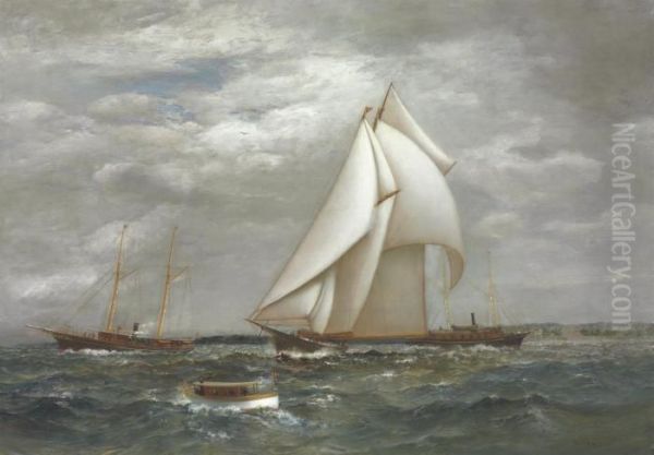 A Centerboard Schooner Of The New York Yacht Club Oil Painting by James Gale Tyler