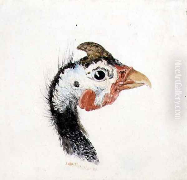 Guinea Fowl, from The Farnley Book of Birds, c.1816 Oil Painting by Joseph Mallord William Turner