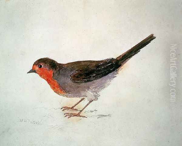 Robin, from The Farnley Book of Birds, c.1816 Oil Painting by Joseph Mallord William Turner