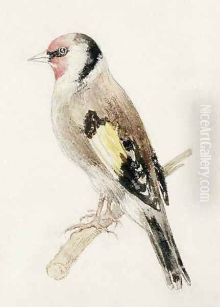 Goldfinch, from The Farnley Book of Birds, c.1816 Oil Painting by Joseph Mallord William Turner