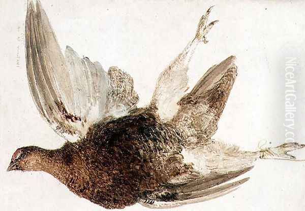 Grouse, from The Farnely Book of Birds, c.1816 Oil Painting by Joseph Mallord William Turner