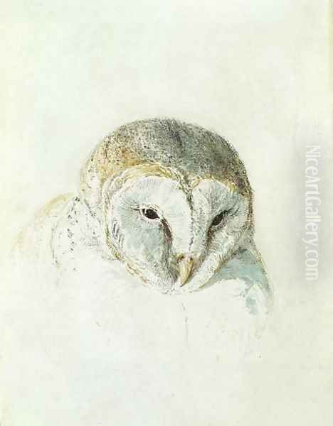 White Barn Owl, from The Farnley Book of Birds, c.1816 Oil Painting by Joseph Mallord William Turner