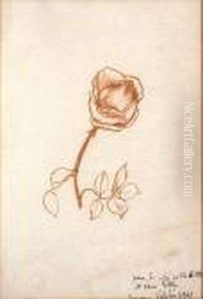  La Rose  Oil Painting by Suzanne Valadon