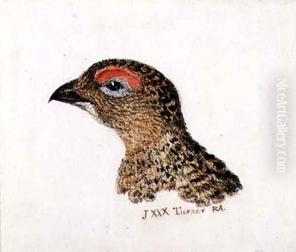 Head of Grouse, from The Farnley Book of Birds, c.1816 Oil Painting by Joseph Mallord William Turner