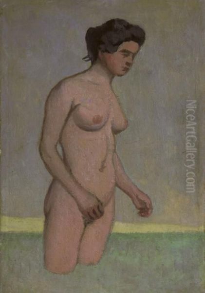 Baigneuse Debout, De Profil Oil Painting by Felix Edouard Vallotton